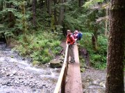 5.29.06 Siouxon Creek 007 